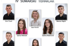 Šumarski tehničar